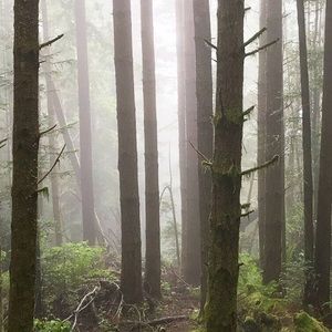 Meet your Posher, Derek